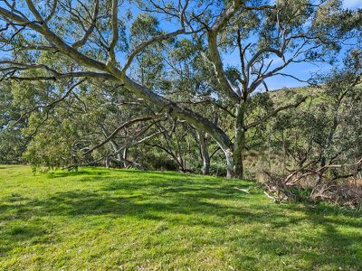 155 Yellow Box Road, Hilldene