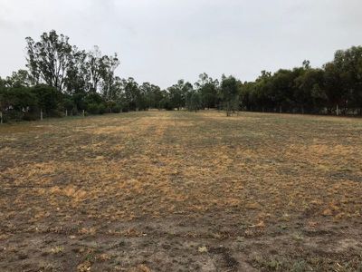 20-22 Forest Street, Koondrook