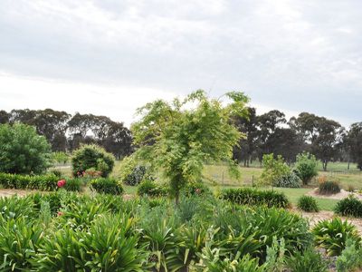 1553 Chiltern-Rutherglen Road, Rutherglen