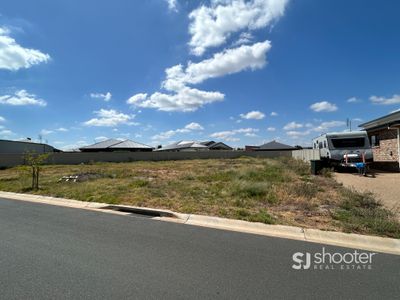 31 Tweed Place, Dubbo
