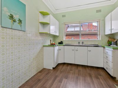 193 Croydon Road, Hurstville
