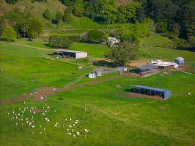 392 TUNTABLE FALLS ROAD, Nimbin