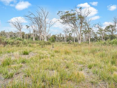 Lot 3 Soldiers Settlement Road, George Town