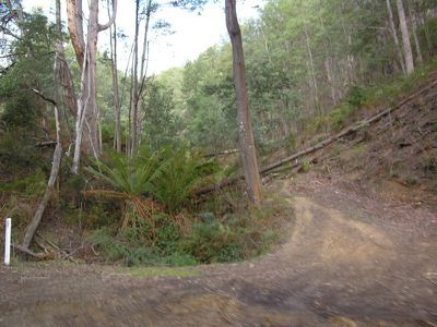 140 Coalmine Road, Gardners Bay