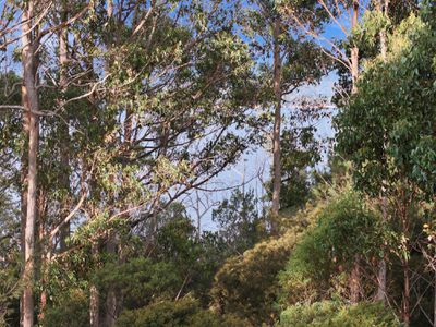 287 Esperance Coast Road, Brooks Bay