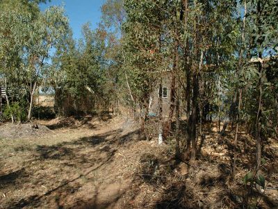 14 Stilt Street, Longreach