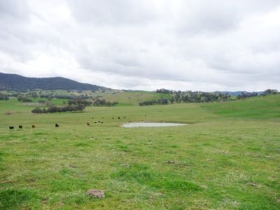 Yackandandah Myrtleford Road, Yackandandah