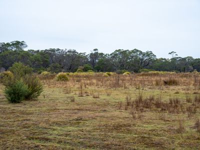 202-238 Flacks Road, Coles Bay