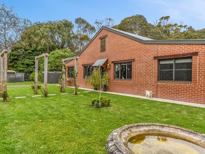 169 Williams Road, Millicent