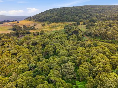 28834 Tasman Highway, Weldborough