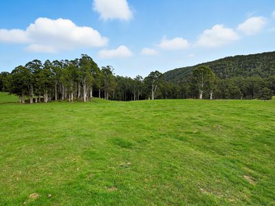 64 Mersey Forest Road, Liena