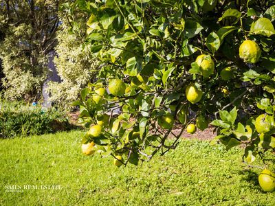 14 Northview Drive, South Pambula