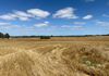 494 Ozenkadnook Mortat Road, Ozenkadnook