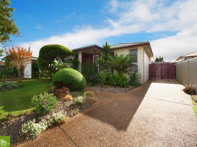 Mount Warrigal