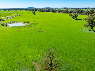 'Pastoria Park' 205 Balldale Road, Hopefield