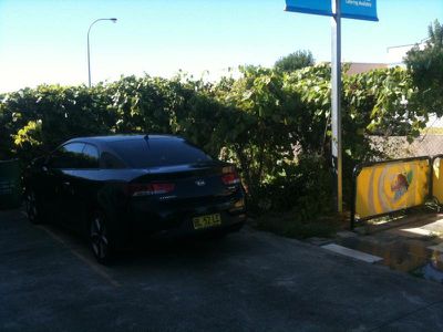 13 Frost  St, Campbelltown