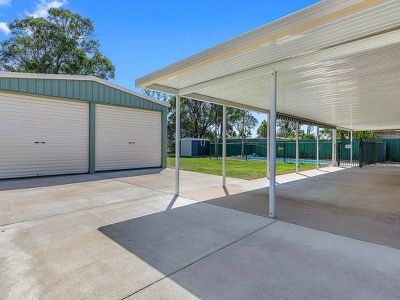 66 Ibis Boulevard, Eli Waters