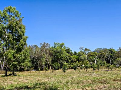 556 Mount Amos Road, Cooktown