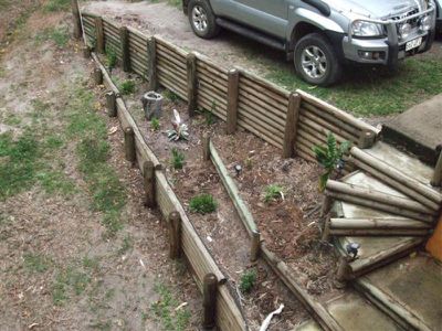 24 Seagren, Cooktown