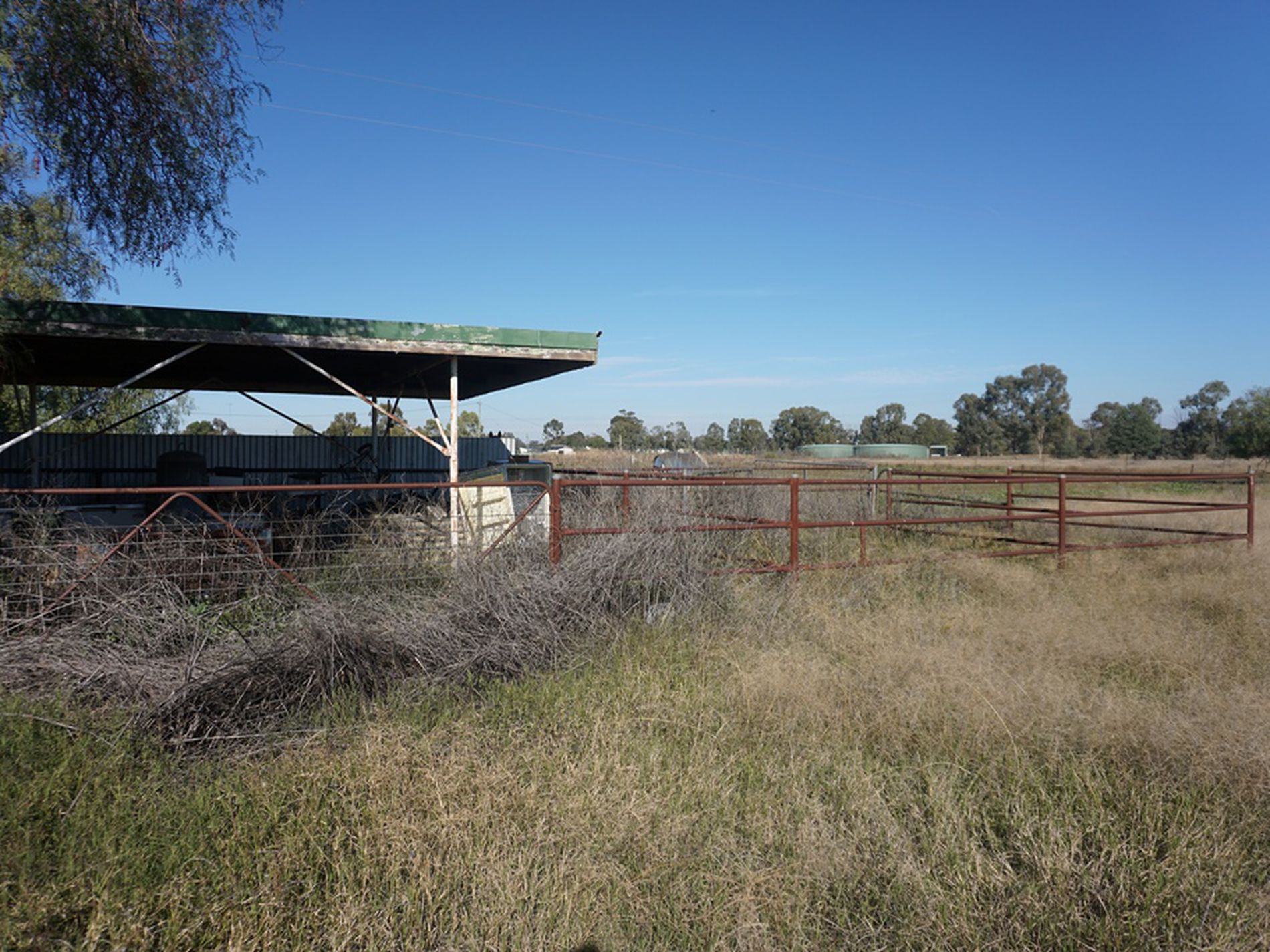 57 Mallee Street, Wyalong
