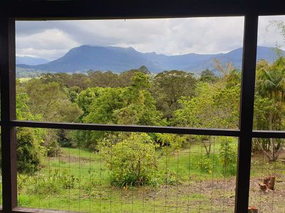 20 / 78 Cecil Street, Nimbin
