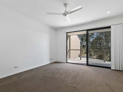 5 / 85 Ibis Boulevard, Eli Waters