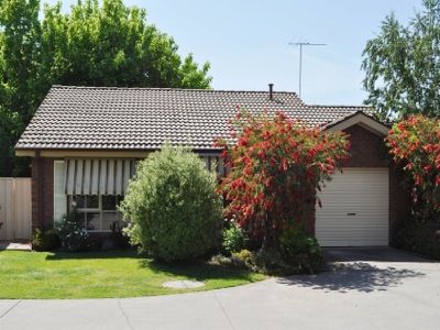 12 / 746 Wood Street, Albury