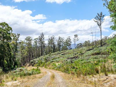 98 Coal Mine Road, Gardners Bay