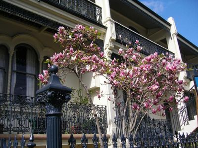 2 / 280 Bridge Road, Forest Lodge