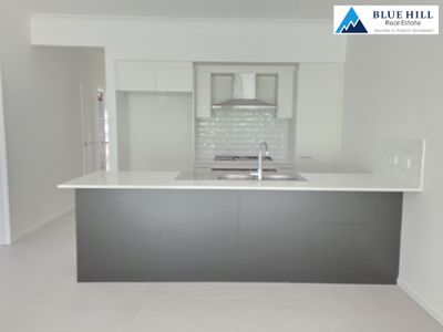 66 Wicklow Road, Chisholm