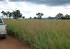 5220 The Escort Way Toogong, Orange