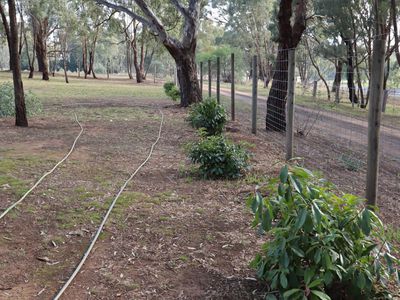 4536B McIvor Highway, Heathcote
