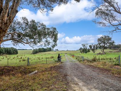 62 Davis Lane, Grabben Gullen