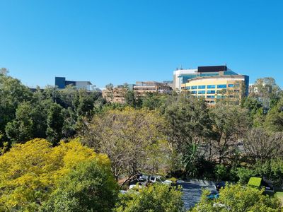 19 / 16 Patrick Lane, Toowong