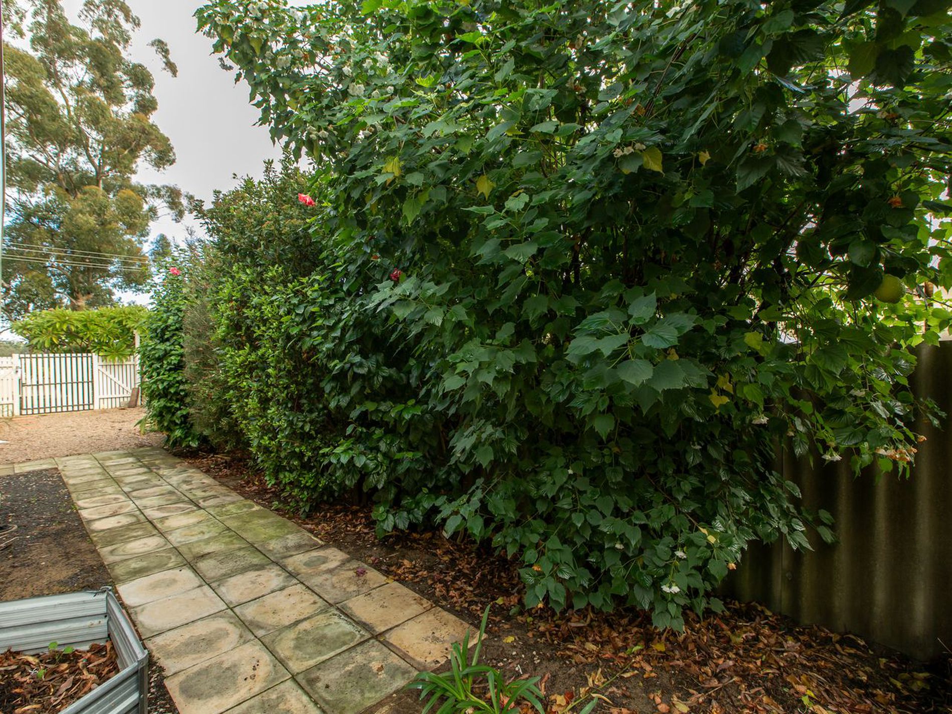24 Hutchinson Road, Burekup