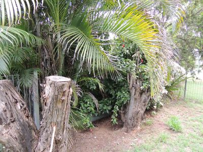 15 Lawrence Drive, Moranbah