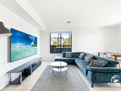 16 Planthopper Street, Marsden Park