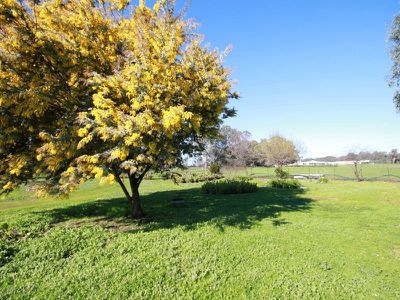29 Macquarie Court, Wangaratta