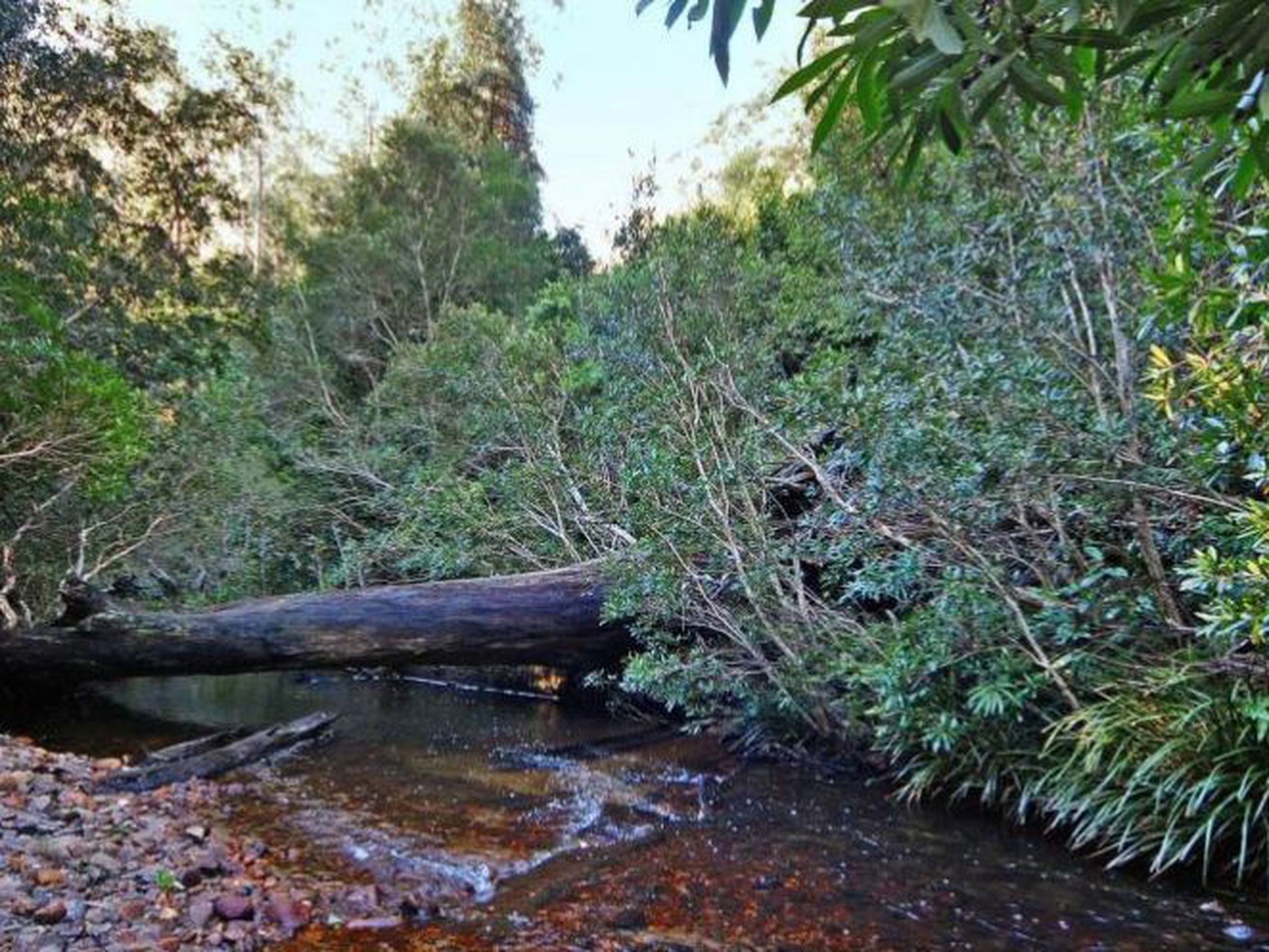 D3380 Princes Highway, Jerrawangala