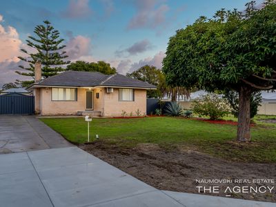 54 Chichester Way, Nollamara