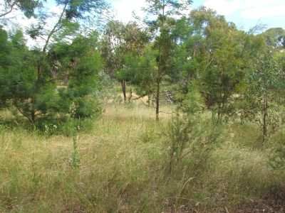Lot 46, Cryland Street, Emmaville