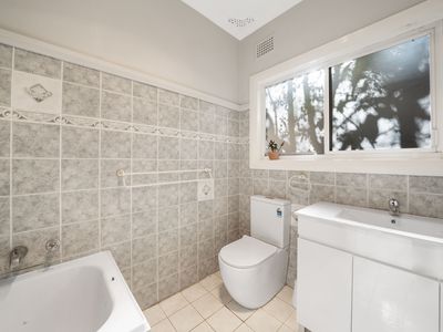 60 Renown Avenue, Wiley Park