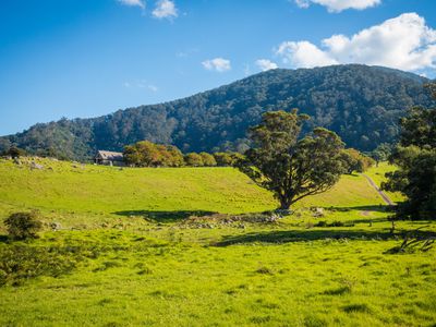 49 Mount Dromedary Trail, Tilba Tilba