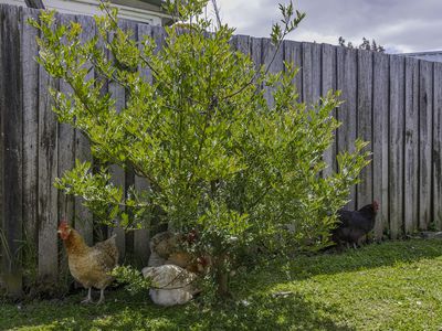 14 Fourfoot Road, Geeveston