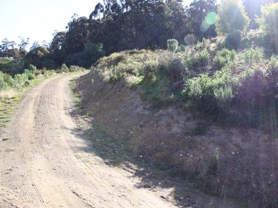 Glen Huon