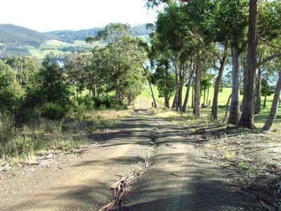 Nicholls Rivulet