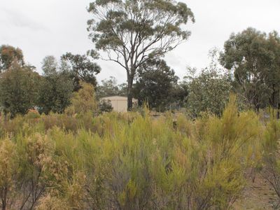 Lot 1  Tait Hamilton Road, Gobarup
