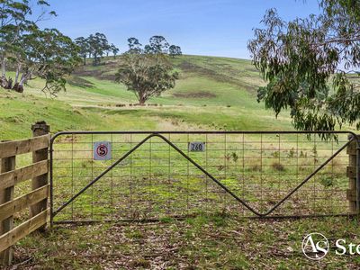 260 & 310 Mt William Road, Goldie