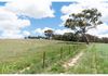 Icely Road, Orange