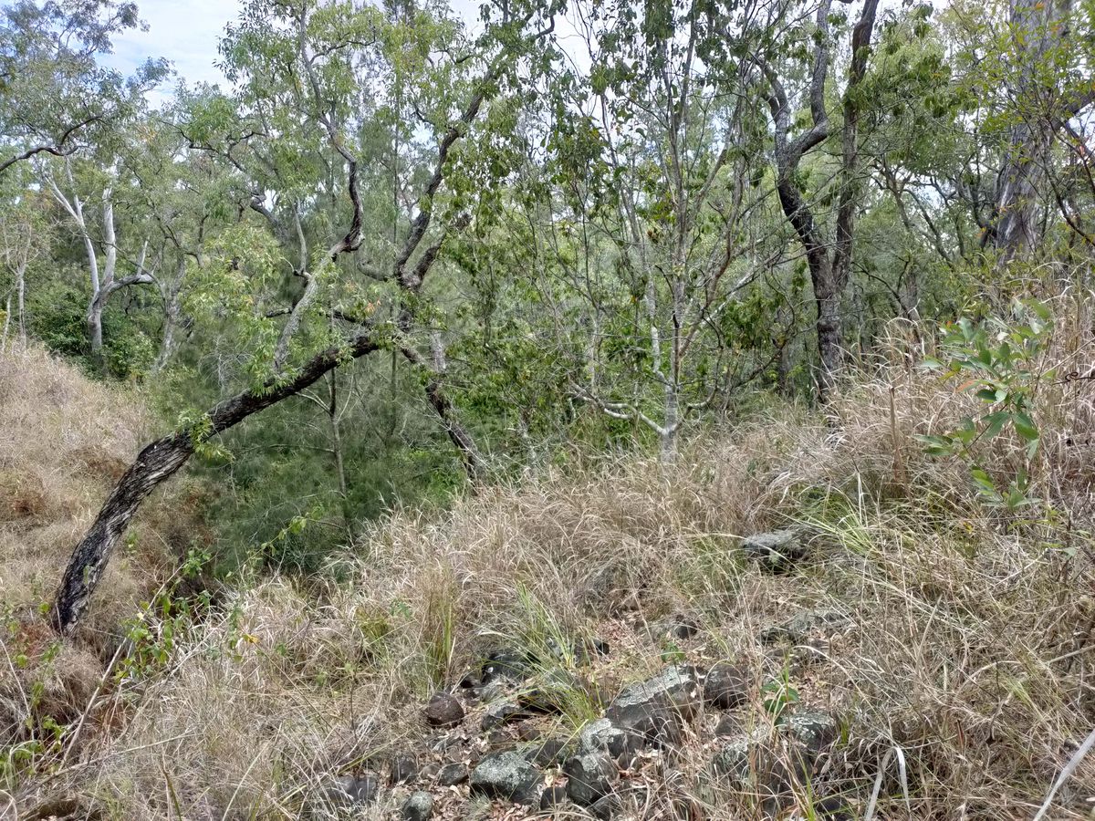 127 RIVER ROAD, Millstream
